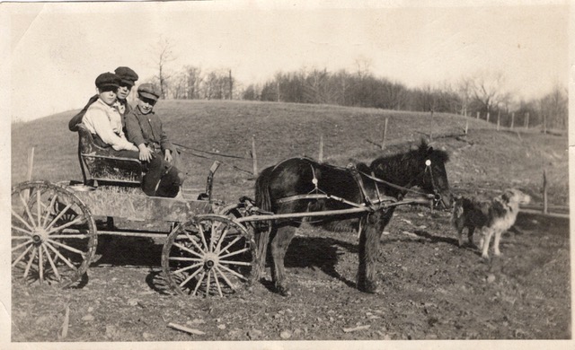 Horse Drawn Carriage
